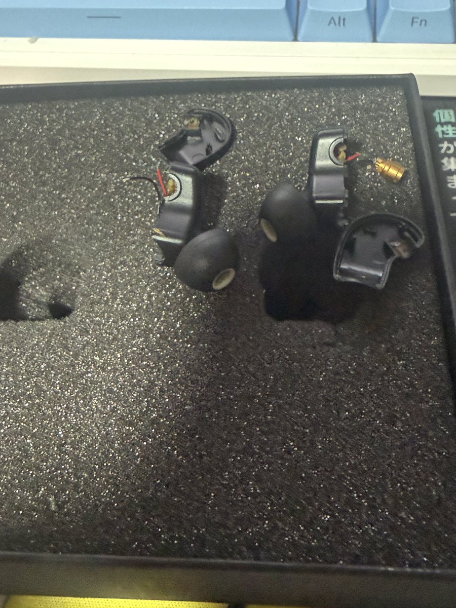 멸화랑 Vtuber🎸🩷 tweet media