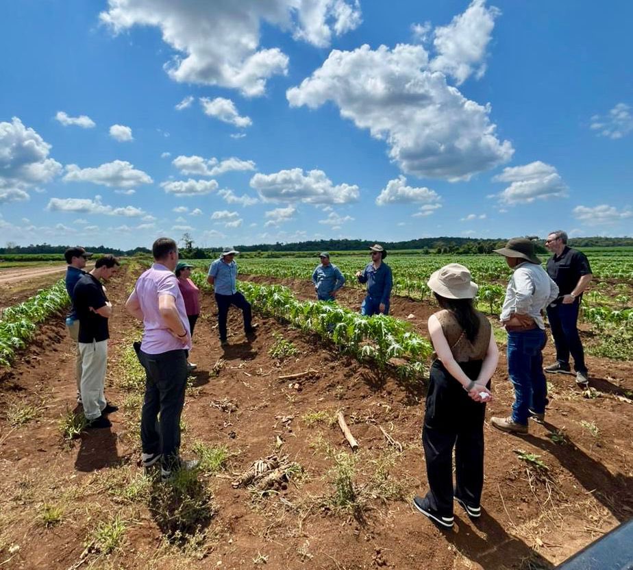 MINECOGT's tweet photo. Como parte de la agenda previa a la Rueda de Negocios con compradores canadienses, el Ministerio de Economía en coordinación con el @MinexGt y la @CanchamGT, organizó una visita a la Finca Popoyán en Petén, donde 7 empresas e instituciones canadienses conocieron de cerca los procesos productivos y la calidad de la piña y papaya guatemalteca.