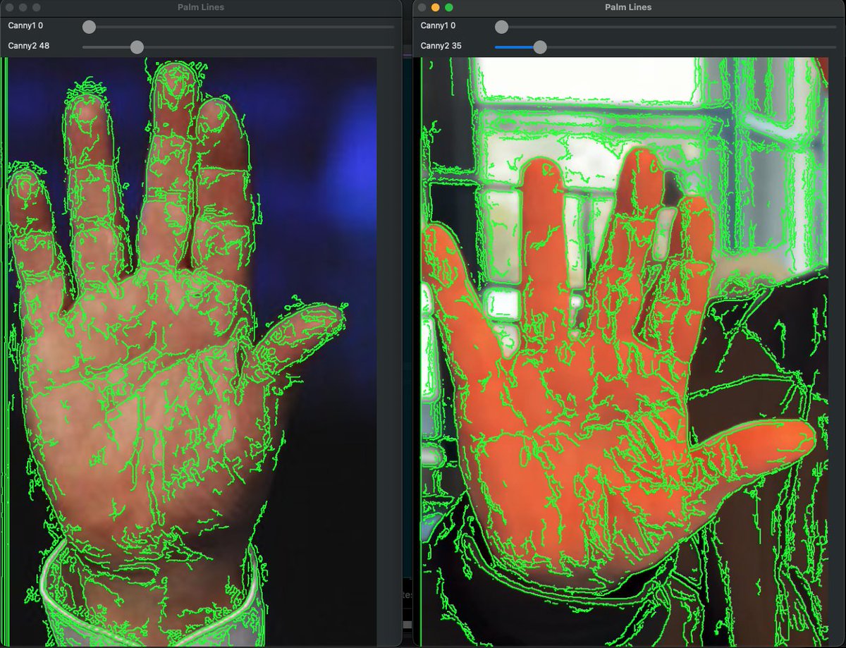 ferdous's tweet photo. Netanyahu's right hand palm lines analysis using OpenCV canny edge detection. Left one original from 2023, right one is from the coffee video. FYI palm prints are unique. https://t.co/HC538Xm5IZ