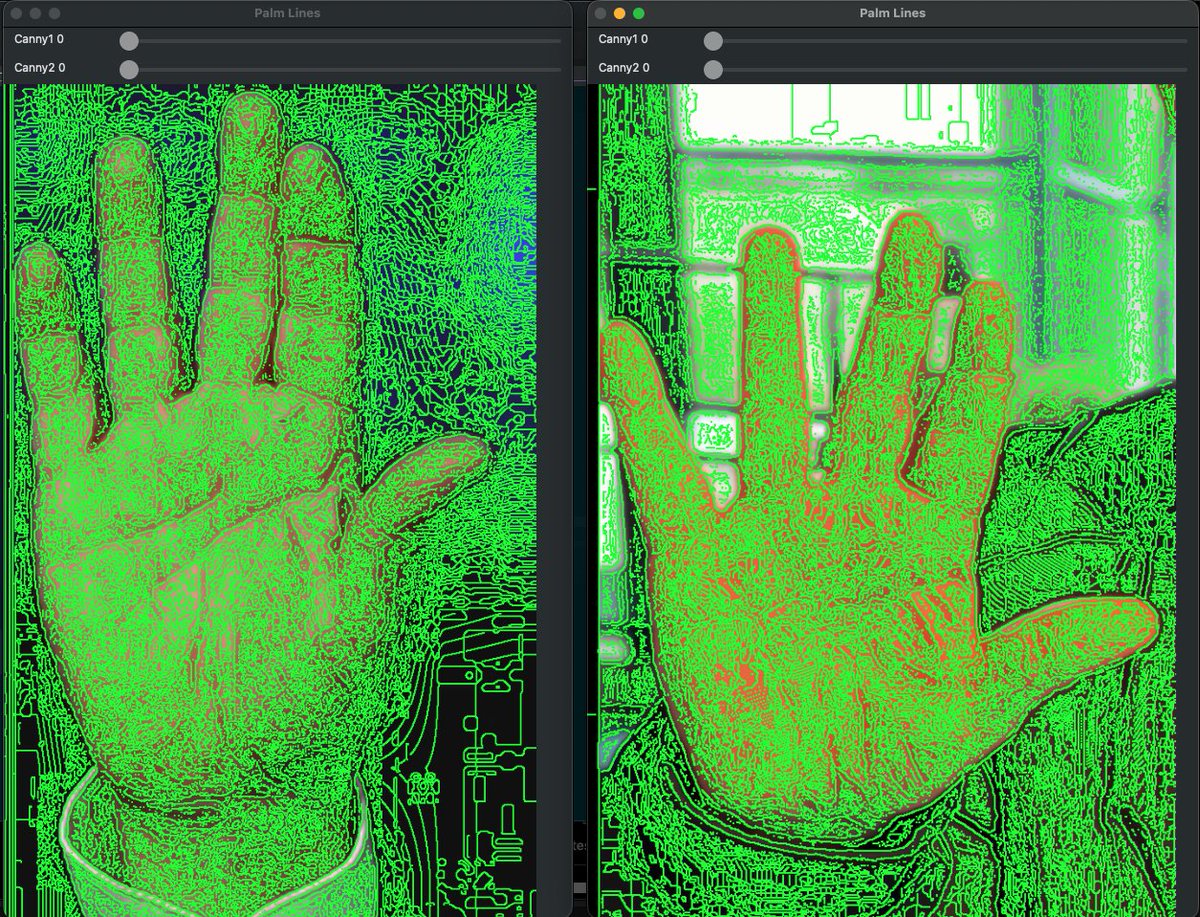 ferdous's tweet photo. Netanyahu's right hand palm lines analysis using OpenCV canny edge detection. Left one original from 2023, right one is from the coffee video. FYI palm prints are unique. https://t.co/HC538Xm5IZ