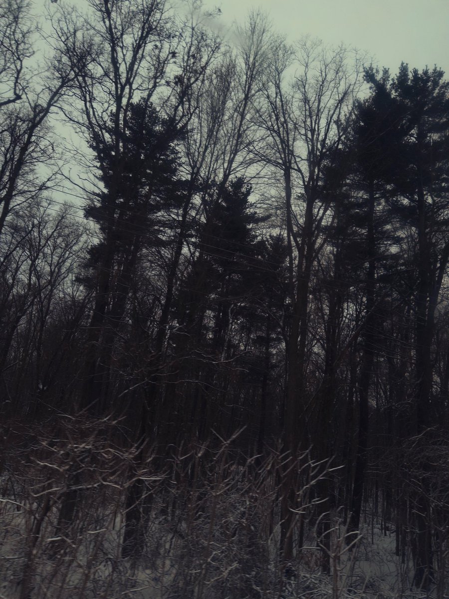 green alien tweet media