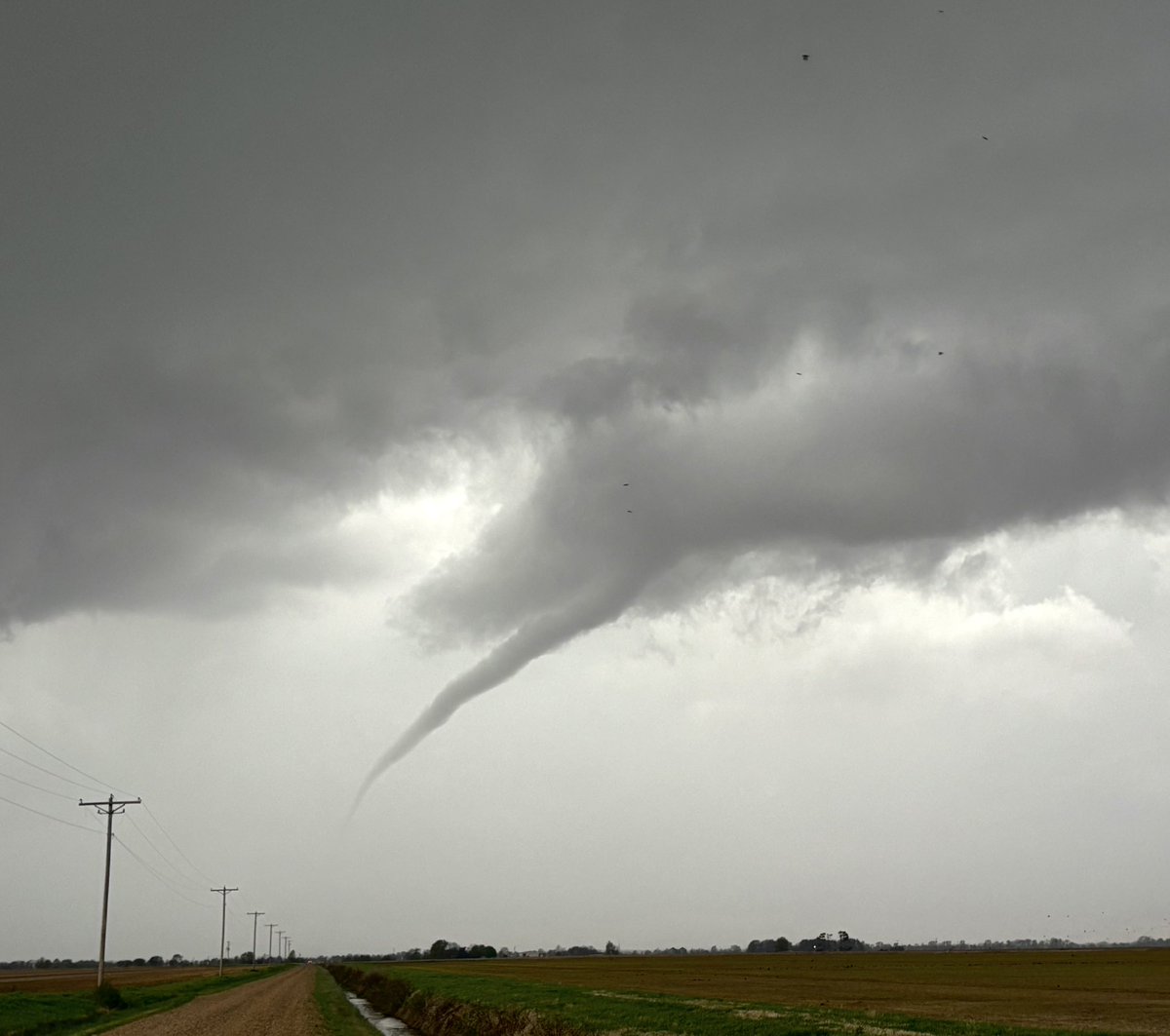 Matt Ammon tweet media