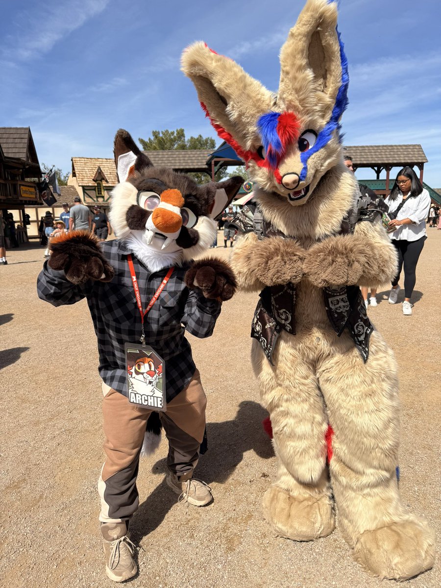 Archie 🔜 LVFC tweet media