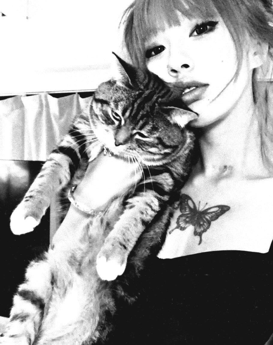 * 𝐫𝐚𝐲𝐚. 🃁 ⊹ ࣪ ˖ tweet media