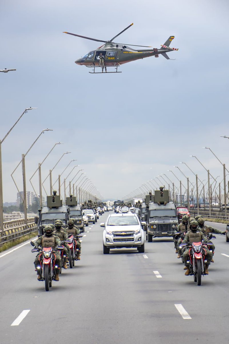 Bita✨️🦋 tweet media