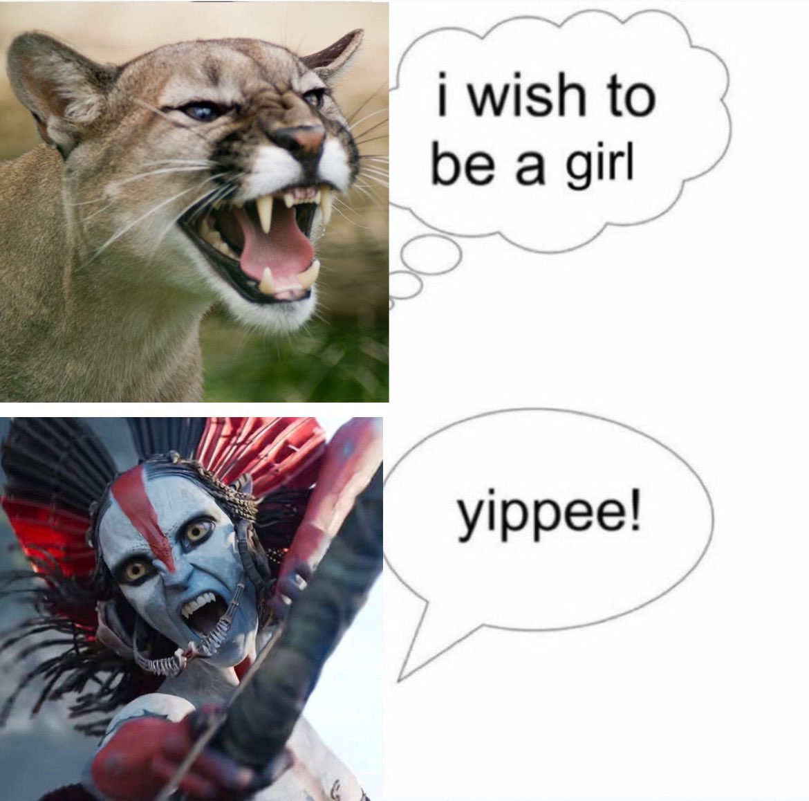 daily varang tweet media