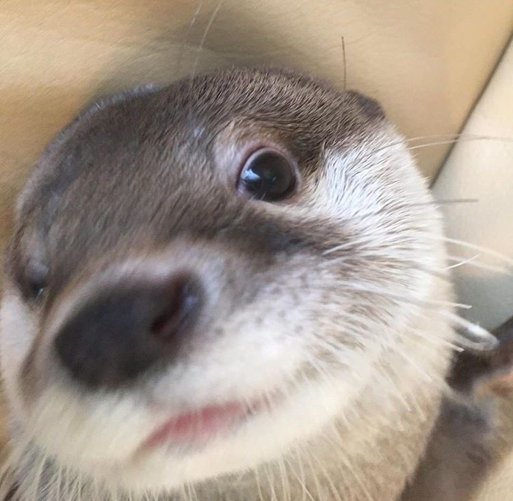 GARAM BASE tweet media