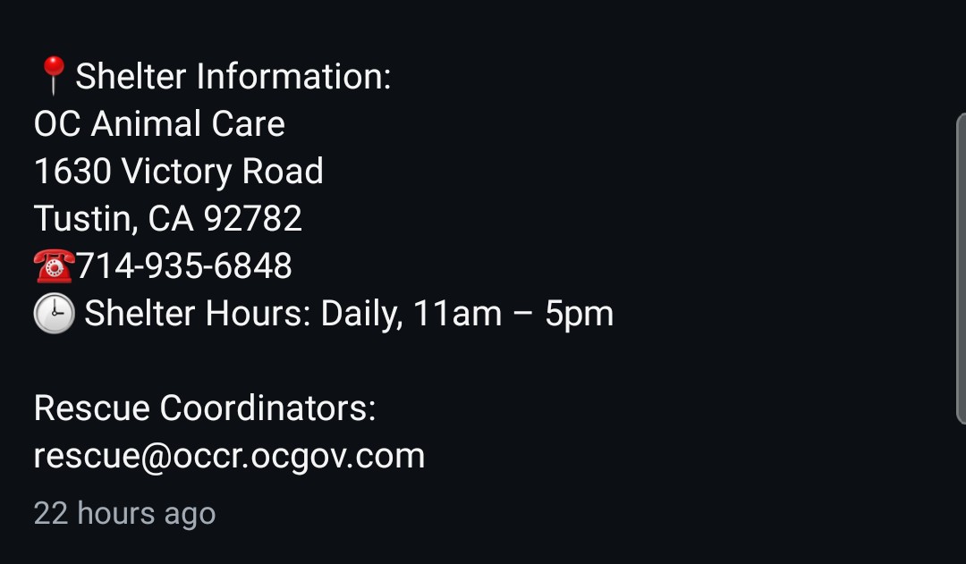 8415_n's tweet image. GREGORY #A1907963
3yo.#gsd mix #GermanShepherd #gsdlove #gsdrescue
Sweet gentle boy,now after a year of shelter life he's stressed out &amp;amp; dog-reactive.
Nothing you can't fix w/patience, training &amp;amp; TLC.‼Call/email immediately, could be killed any moment
#TustinCA #OC #OrangeCounty