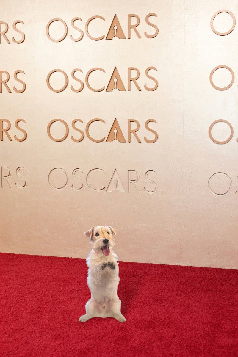 Francesco tweet media