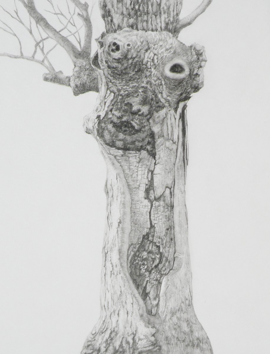 キモトヒロコ tweet media