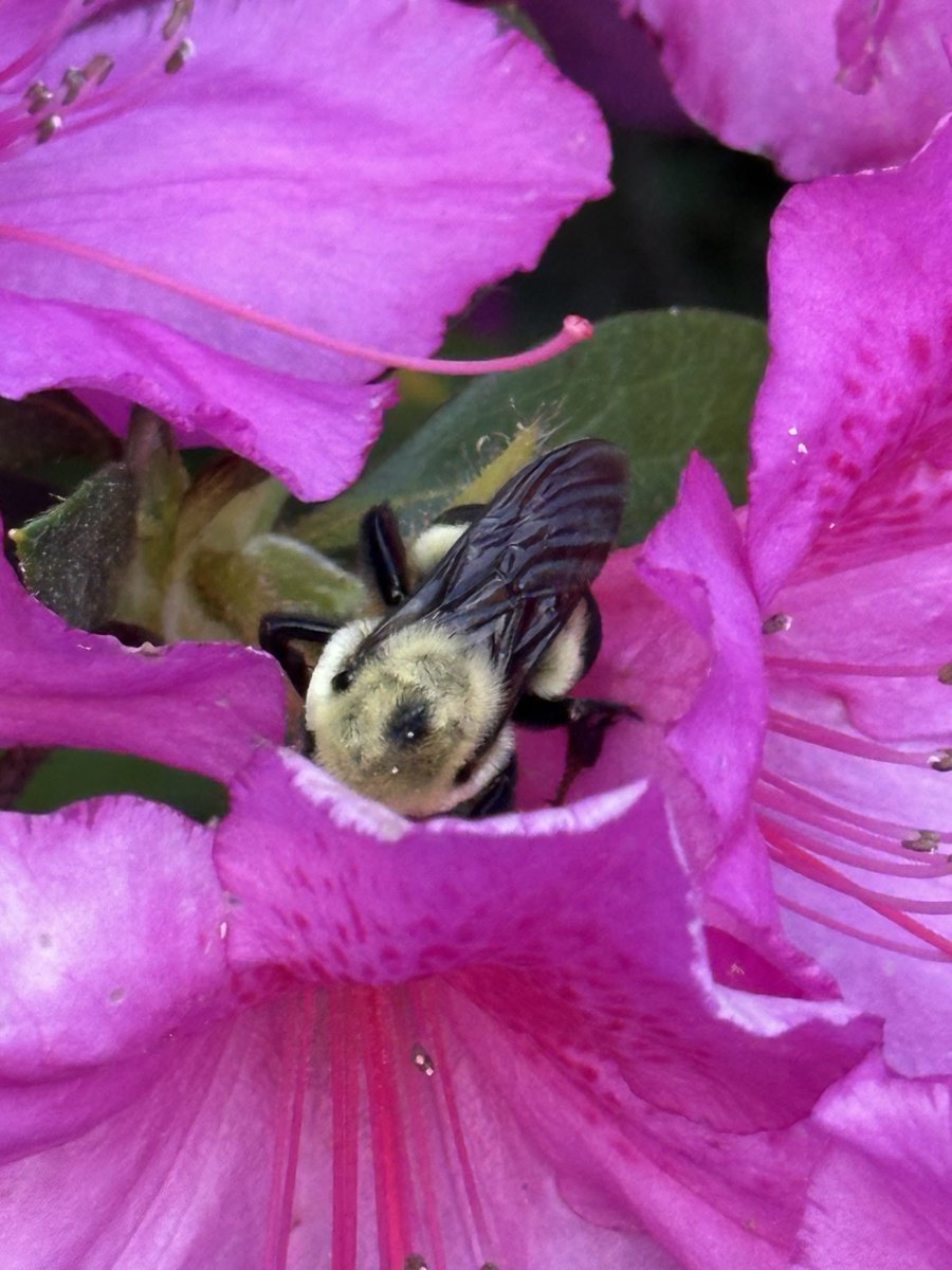 Patrick Skinner tweet media