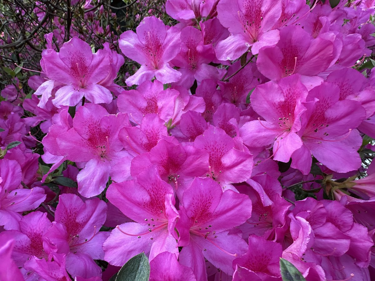 Patrick Skinner tweet media