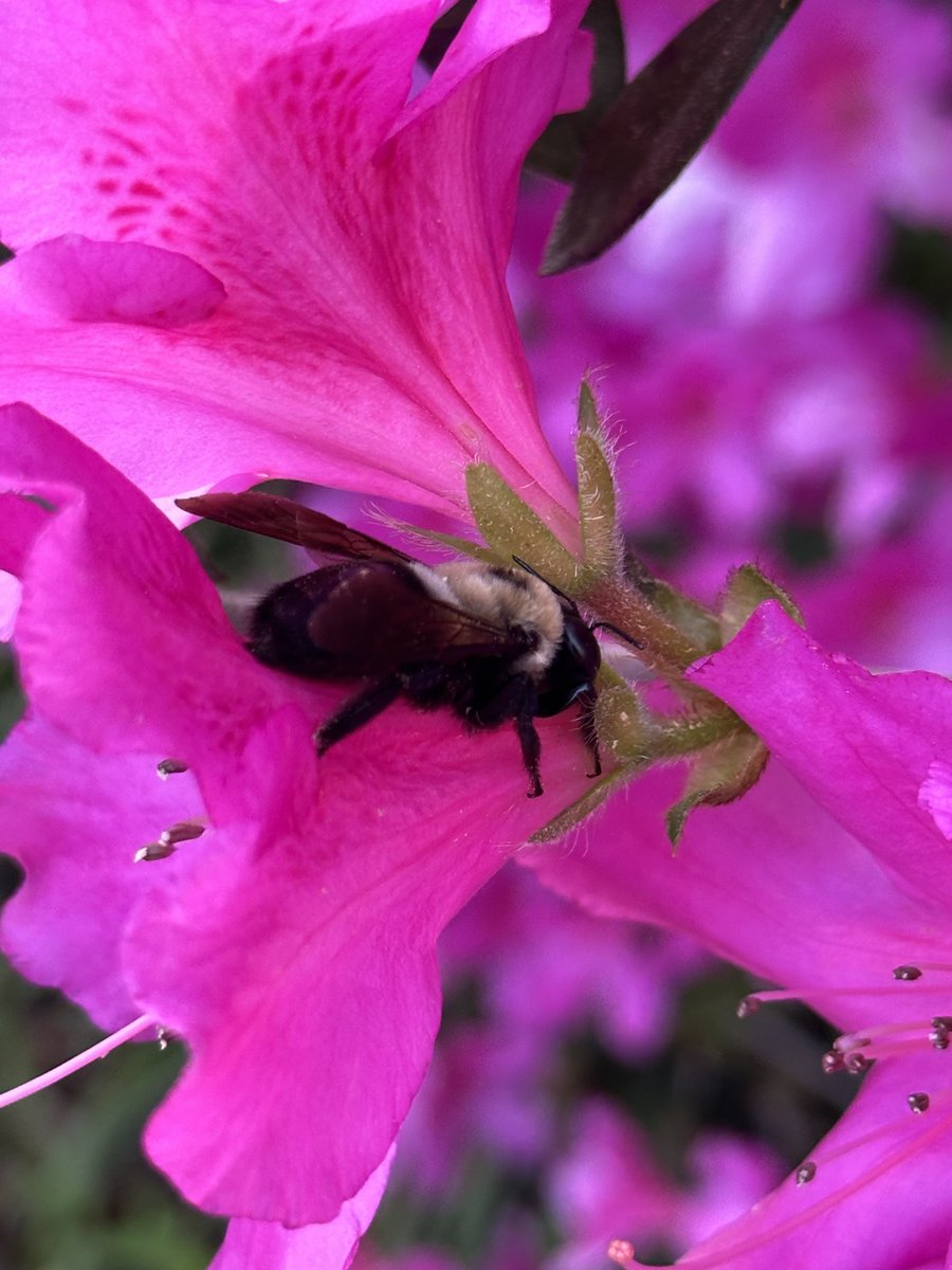 Patrick Skinner tweet media