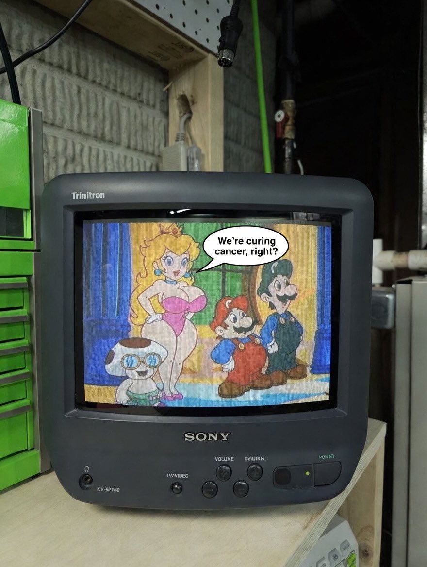 NES Professor tweet media