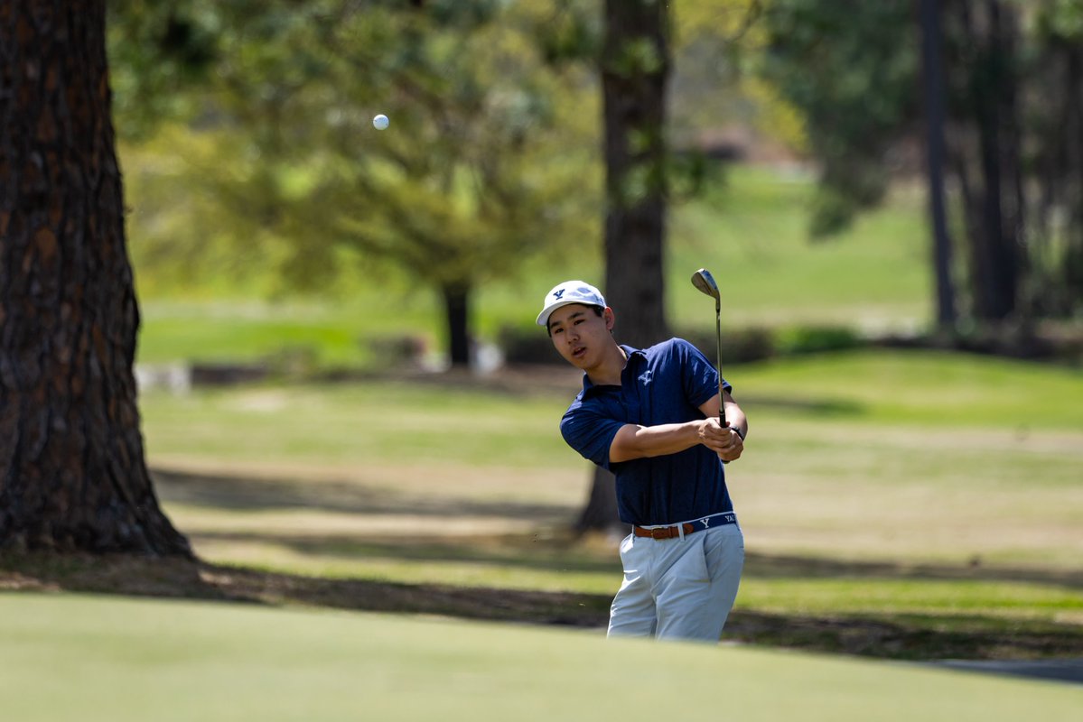 Yale Men's Golf tweet media