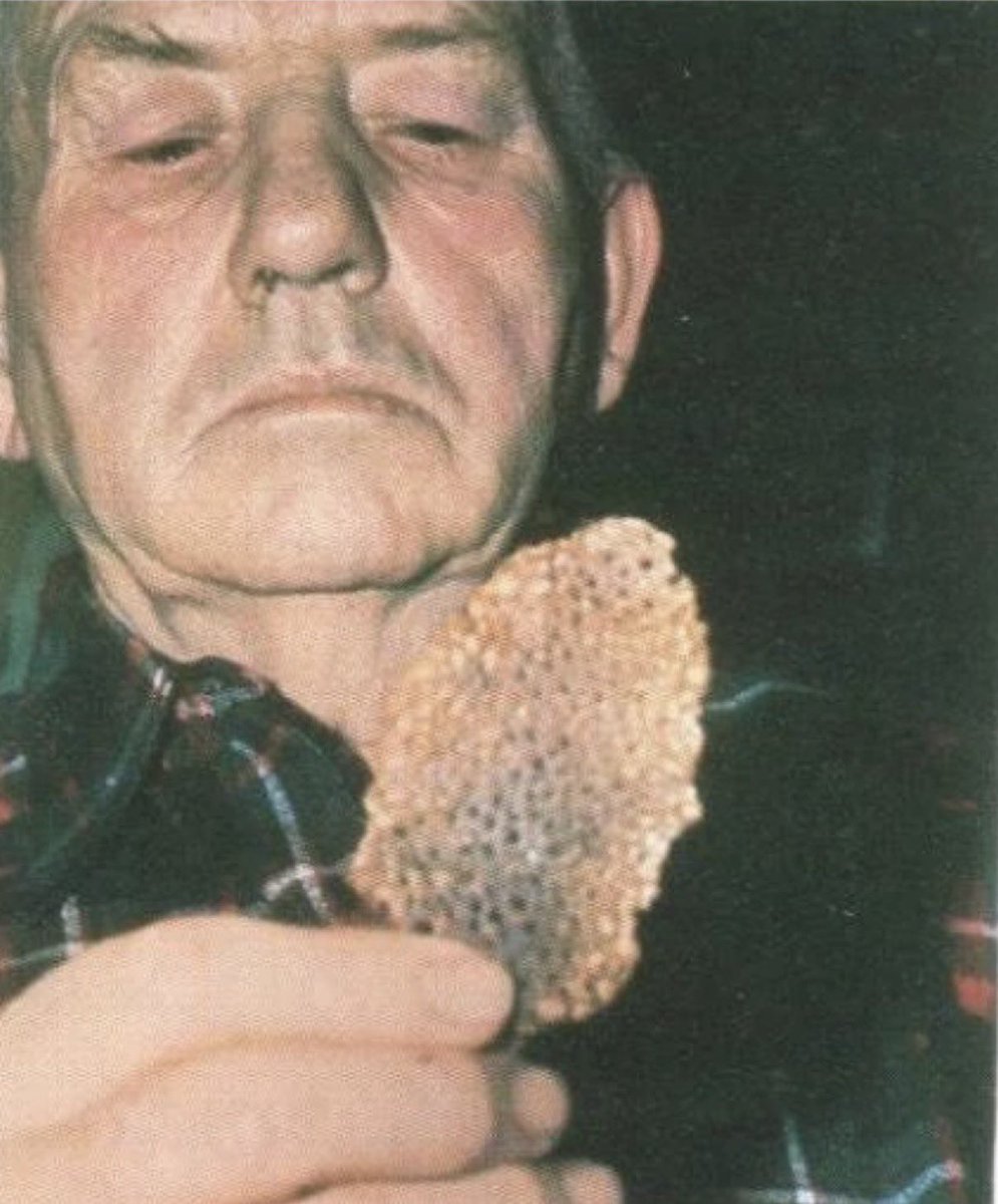 Jon Stewart tweet media