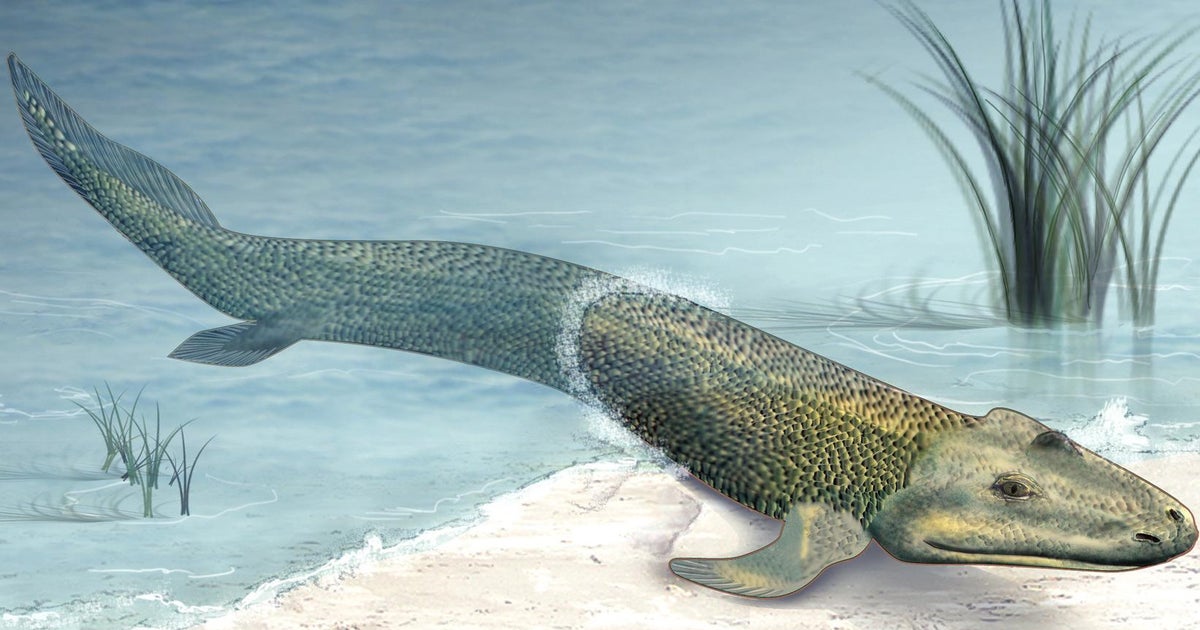 JAxel🫀 tweet media