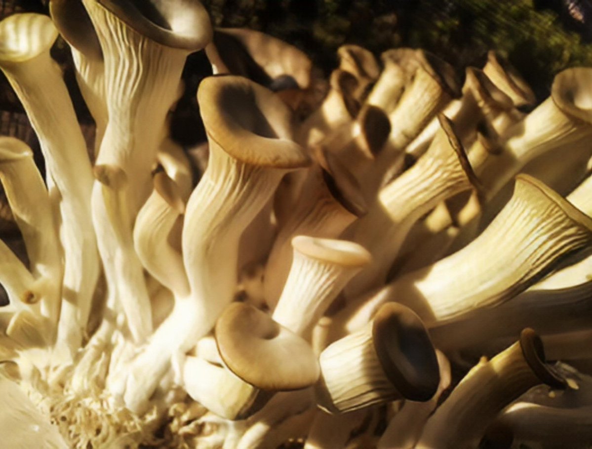 Loren ❤️🇺🇸 tweet media