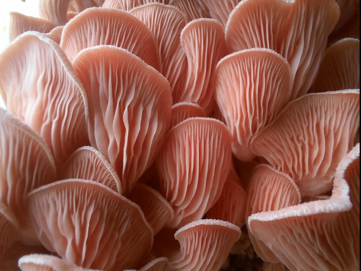 Loren ❤️🇺🇸 tweet media