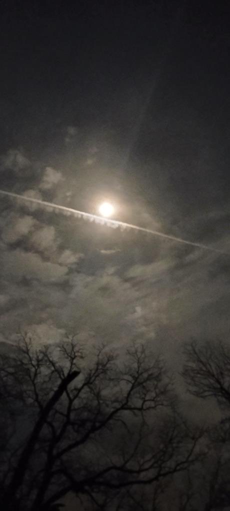 Ⓜ️agaTexan tweet media