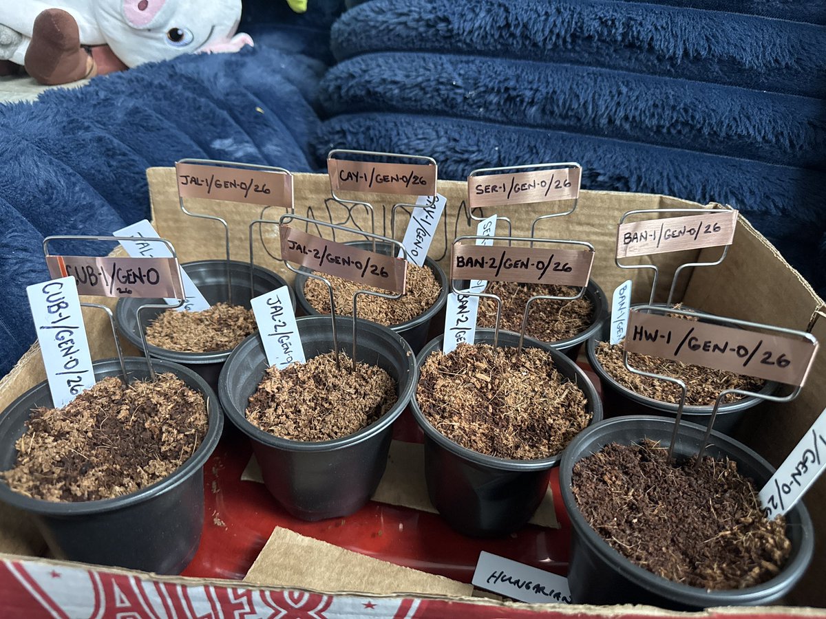 Amiri King tweet media