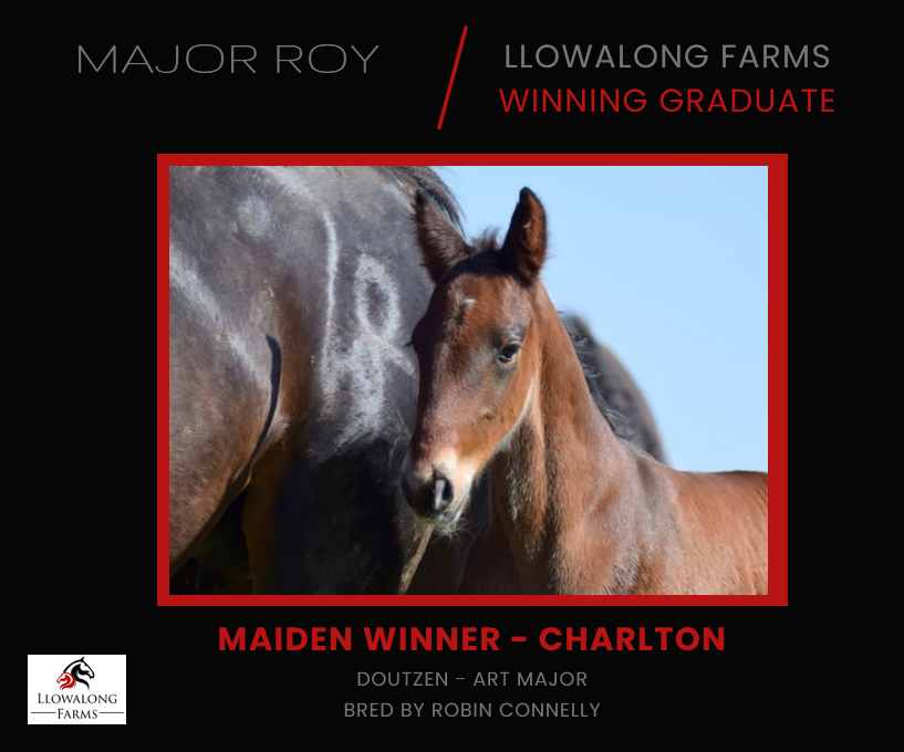 Northern Rivers Equine & Llowalong Farms tweet media