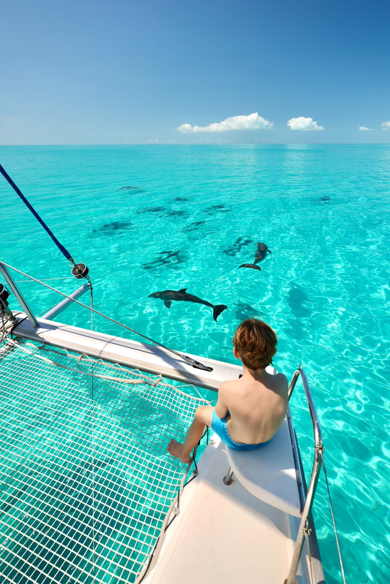 Intrepid tweet media