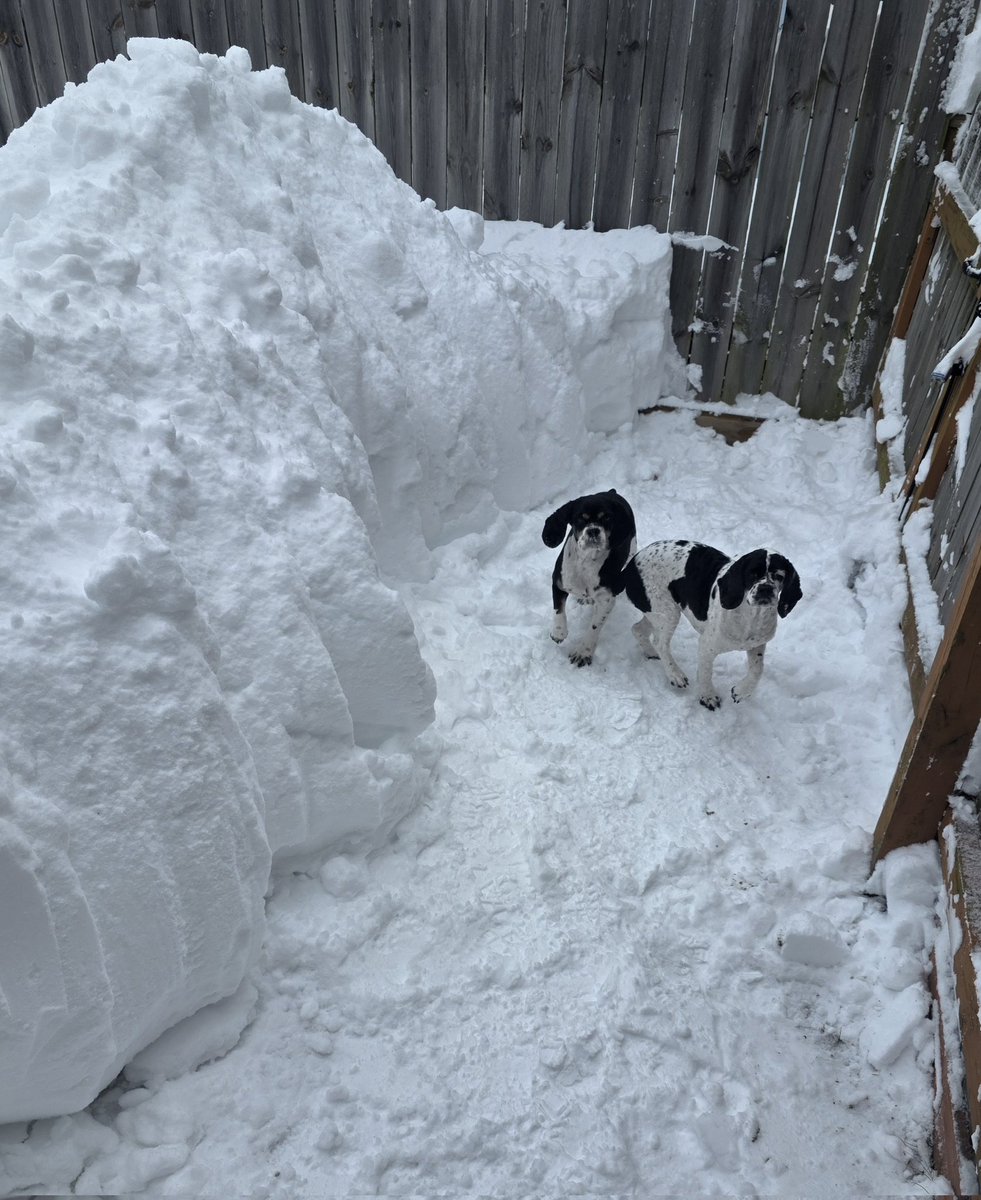 Grace ✝️ tweet media