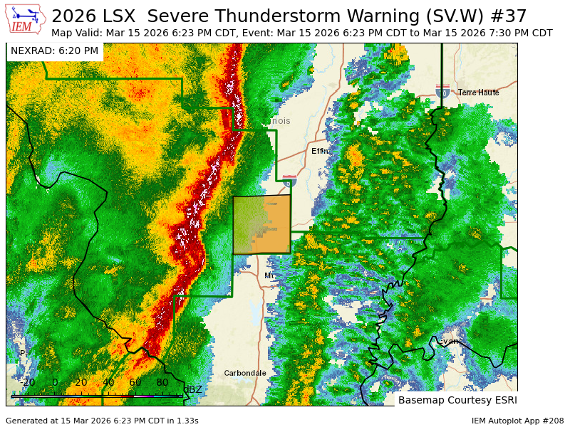 Haley Fitzpatrick tweet media