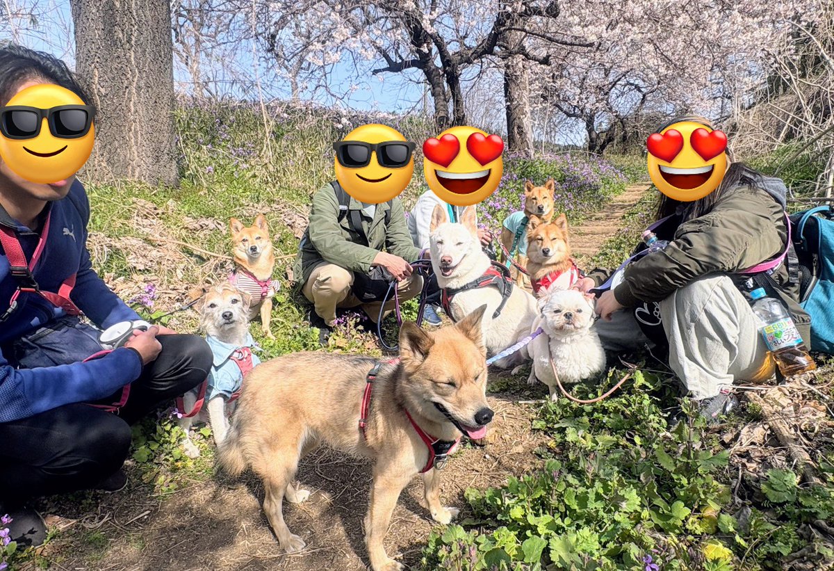 wanchan516's tweet photo. お散歩～🐕️🐾
春はもうすぐ🌸🌱 https://t.co/hcf6J9ut5o