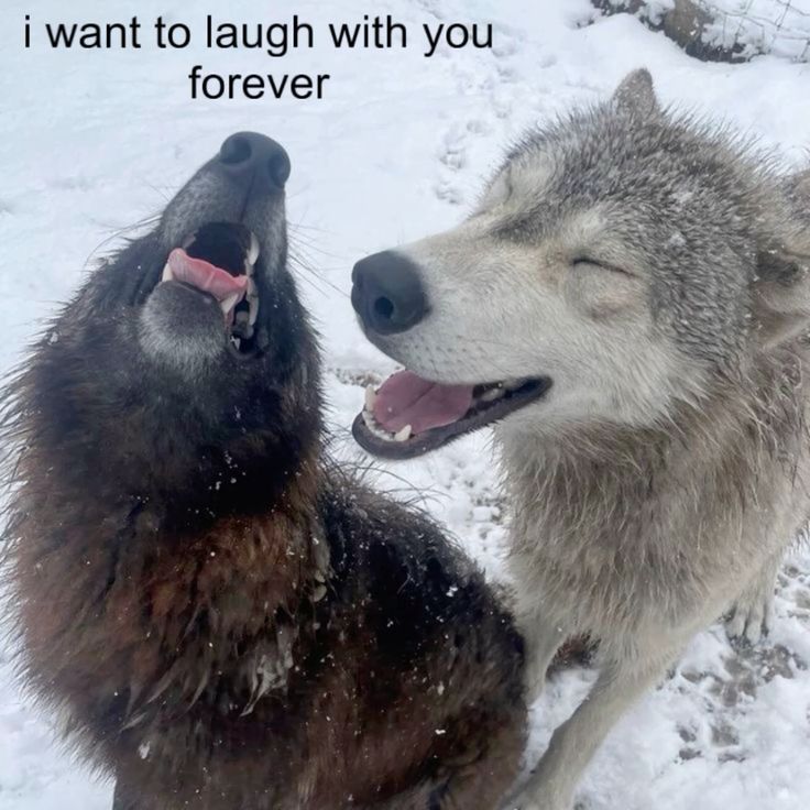 Me & Who? (@tagyourwho) on Twitter photo 