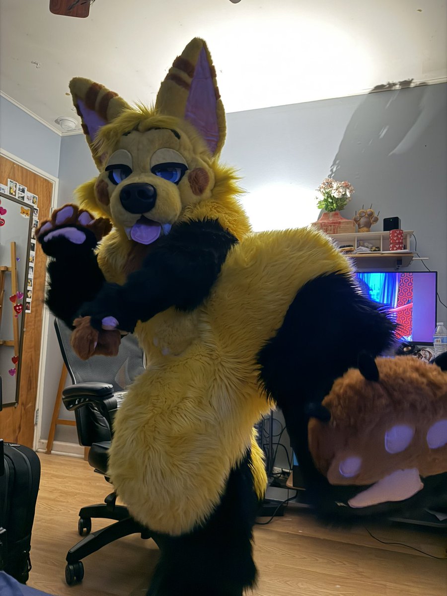 Dizzy🦊 tweet media