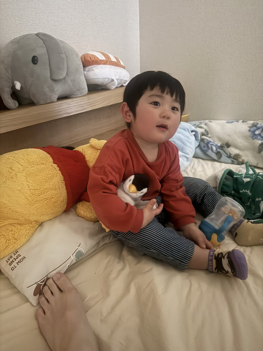 source502918608's tweet photo. ねんね！
大好きなぺんぺんと一緒
#一歳十一ヶ月 https://t.co/7ubBhiQDtC
