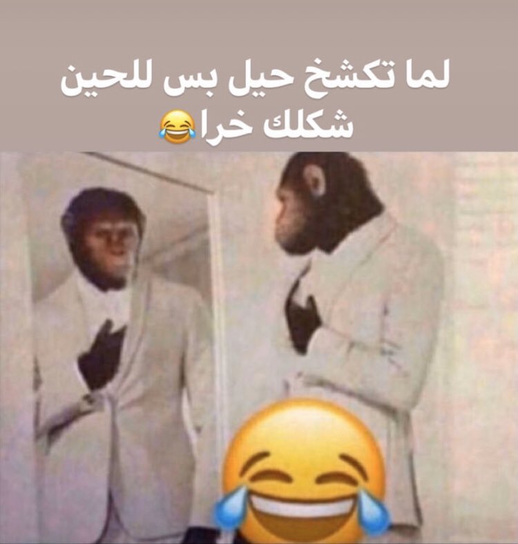 كودو شينتشي وموري ران أبطالاً للفيلم 30 tweet media