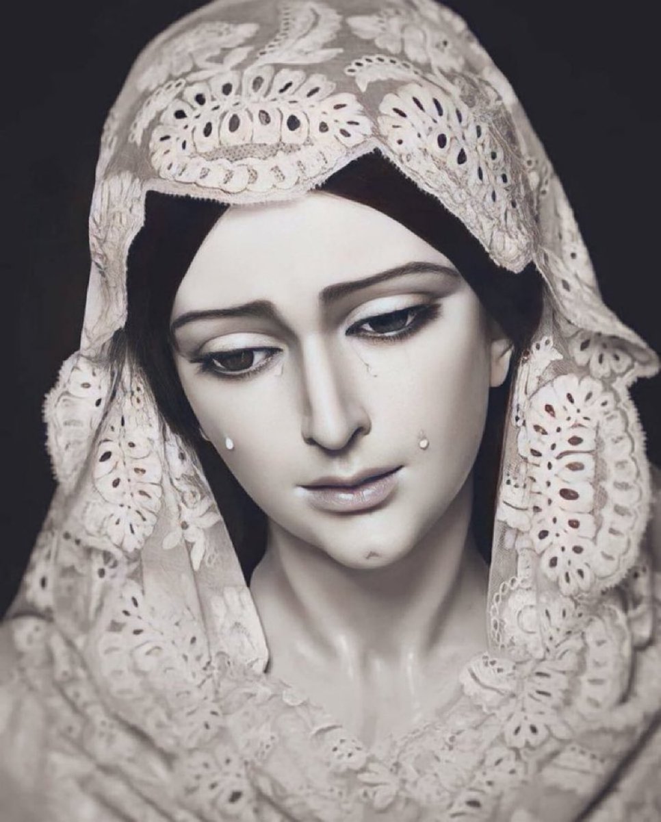 Fight for Mary tweet media