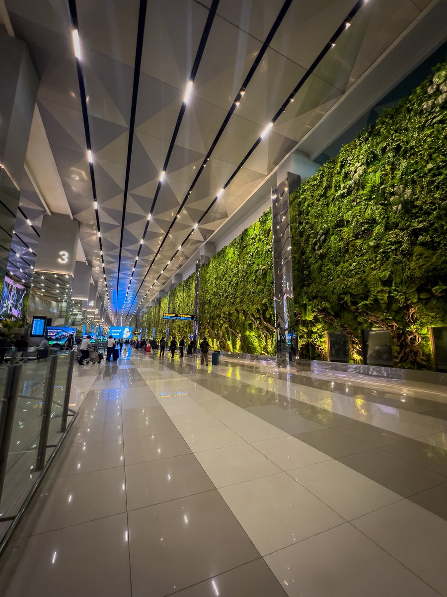 mistbahn tweet media