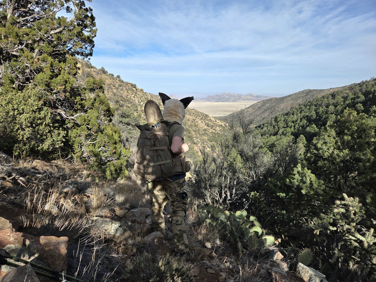 💎 Gem Caracal 💎 🇺🇲 tweet media