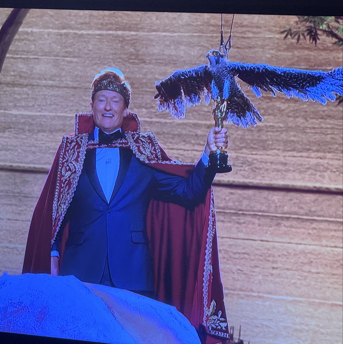 when I see my Merlin Bird of the Day