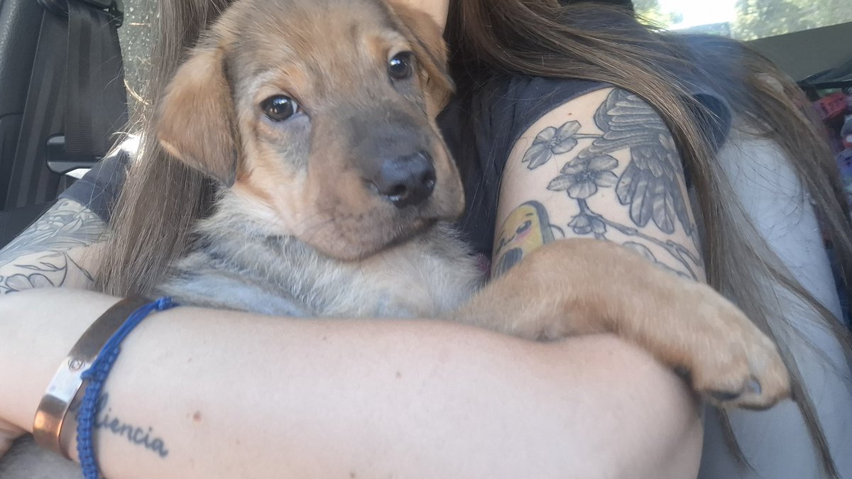 Laly 🇦🇷 tweet media