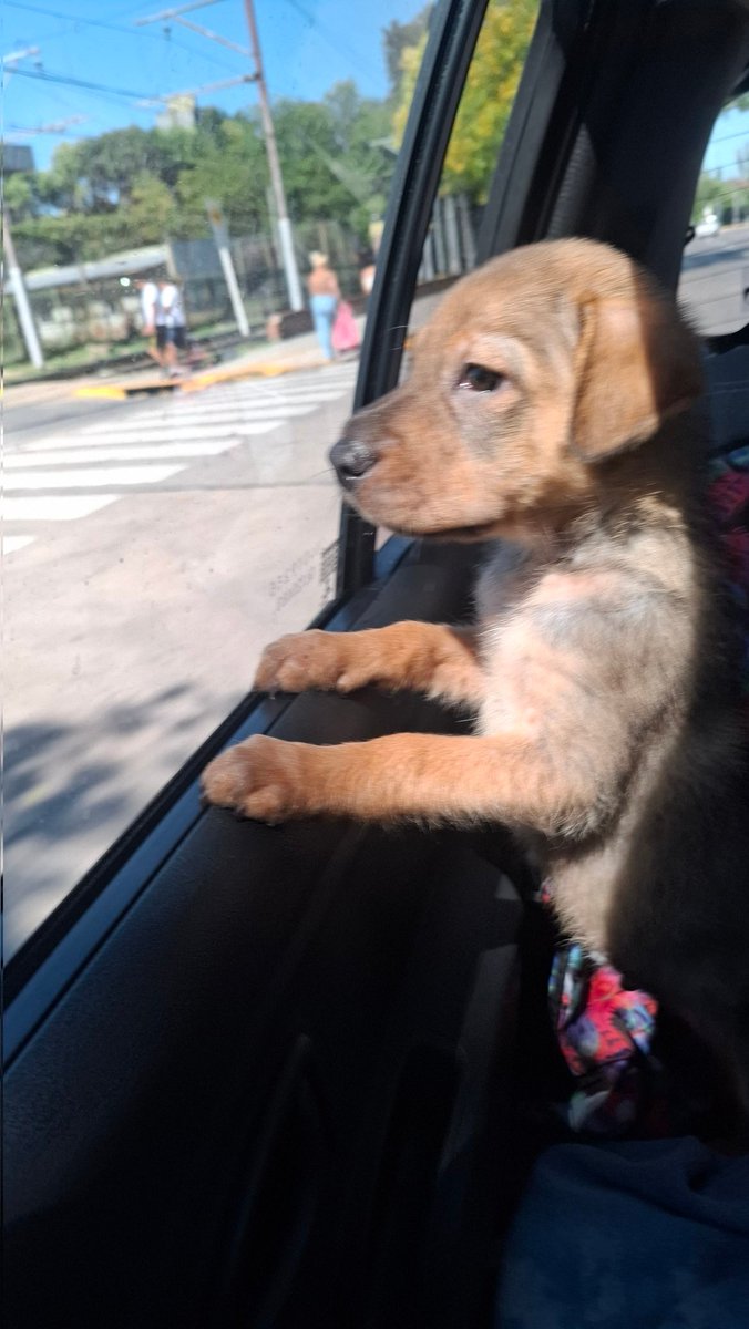 Laly 🇦🇷 tweet media