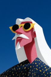 Elena Porter tweet media