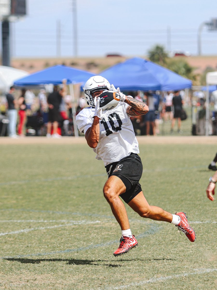 Arizona Rattlers tweet media