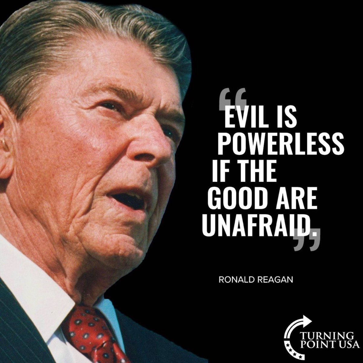 Paula 💜 tweet media