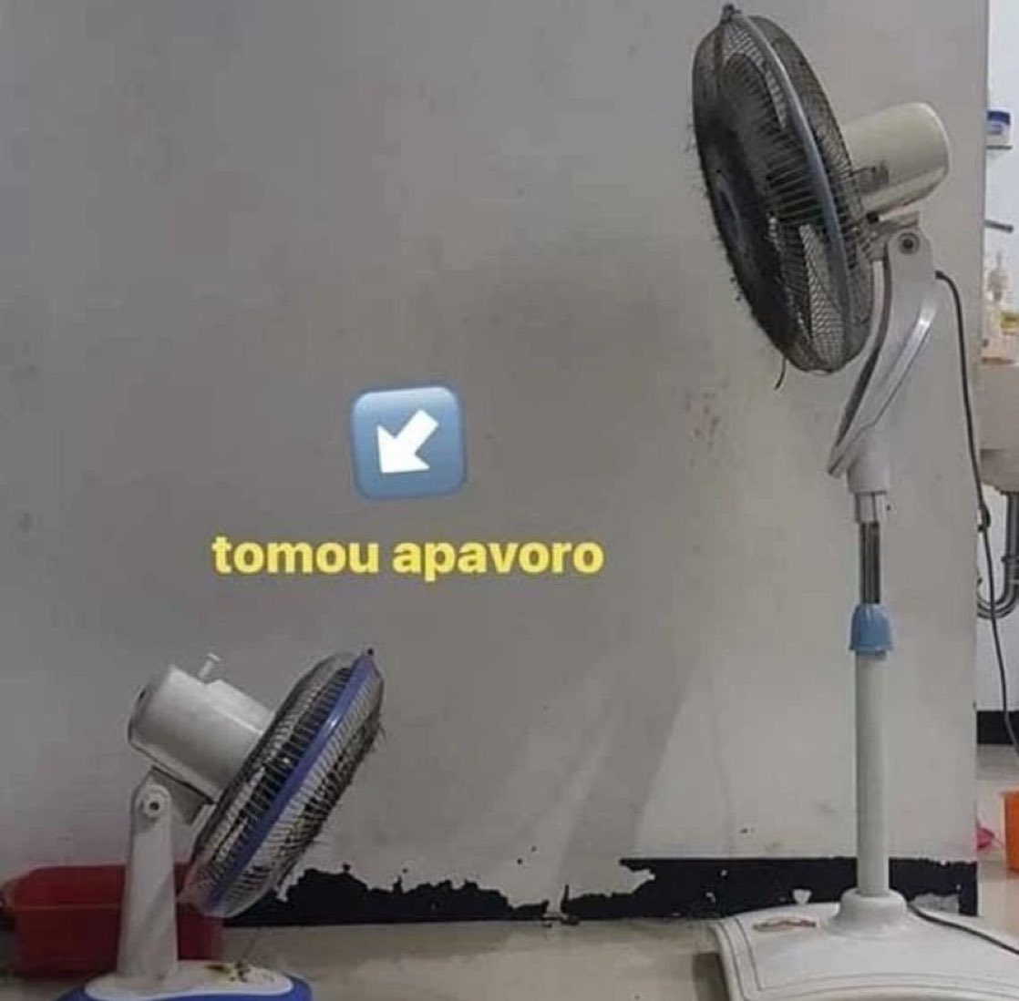 saia do x agora tweet media