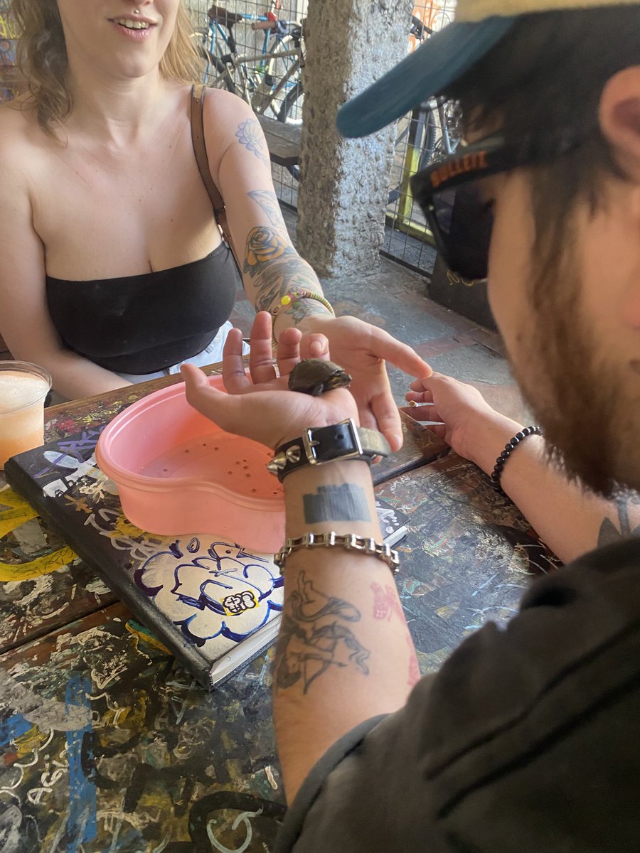 The Matrix On VHS and DVD tweet media