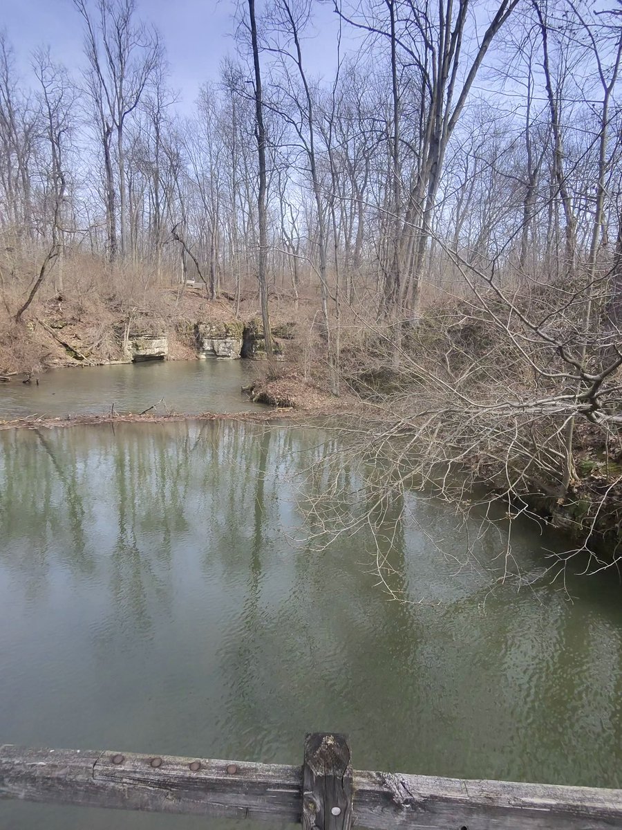 Crypto Rob tweet media