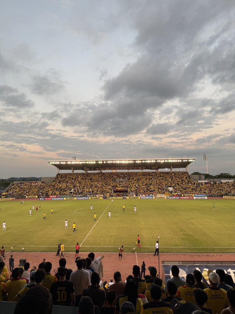 camilo ⚡️ tweet media