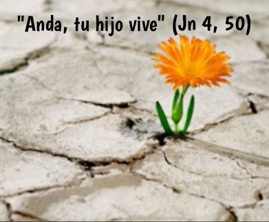 A la petición del funcionario real, preocupado por la gravedad de su hijo enfermo, Jesús le calma y le dice: "Anda, tu hijo vive". Cuando al llegar a Cafarnaún comprueba a qué hora comenzó su  mejoría... se dio cuenta que fue la misma hora en que Jesús le dijo que su hijo vivía.