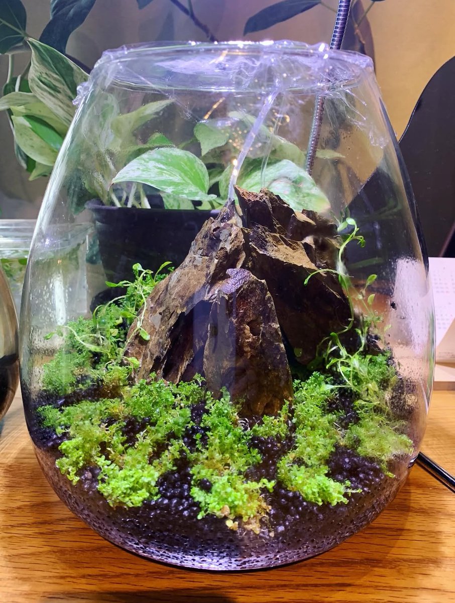 滝沢リネン🐾 8/1単行本4巻発売 tweet media