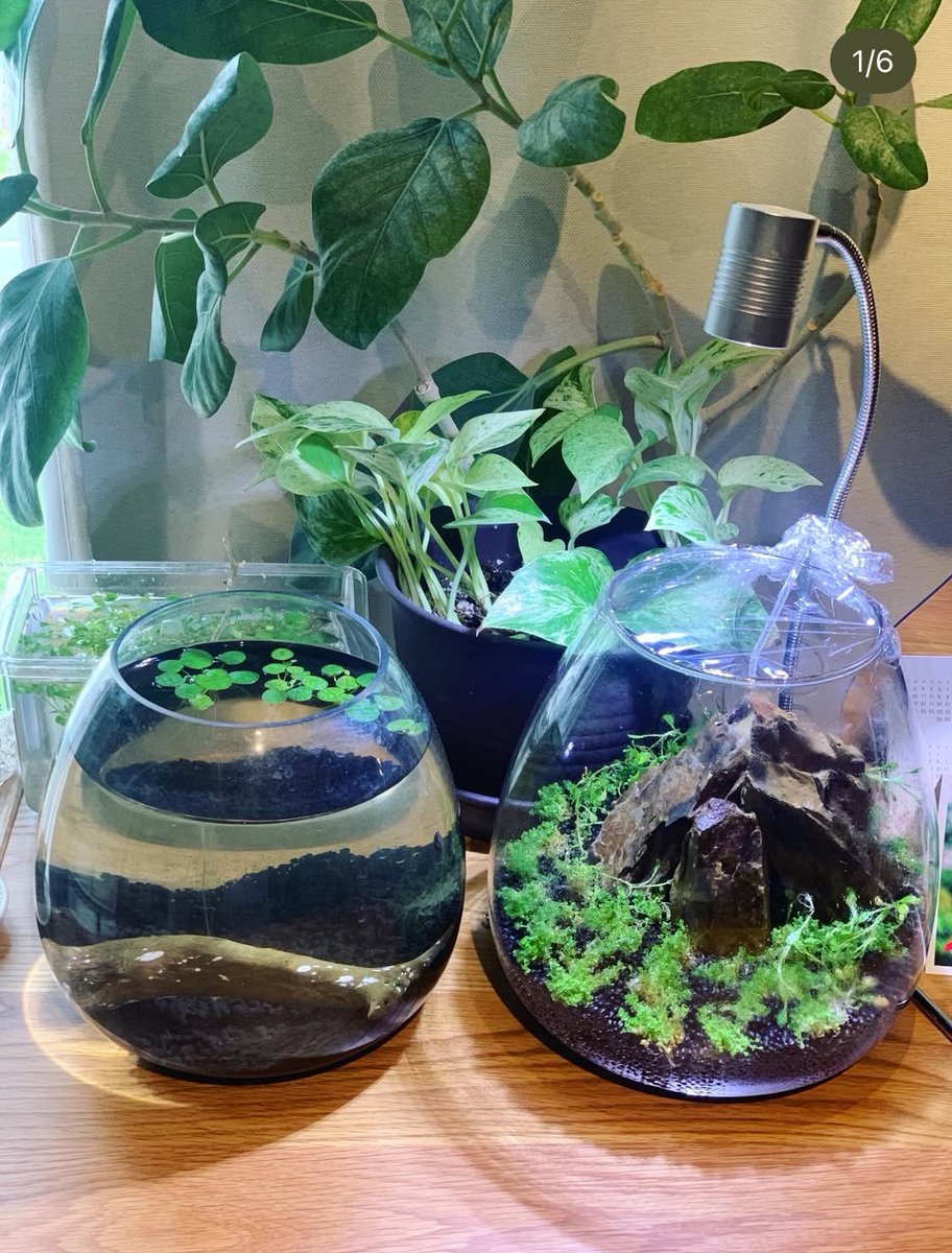 滝沢リネン🐾 8/1単行本4巻発売 tweet media